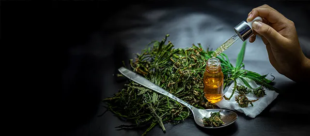 Top Cannabis Drug Companies on the Rise in 2026 Top Cannabis Drug Companies on the Rise in 2026